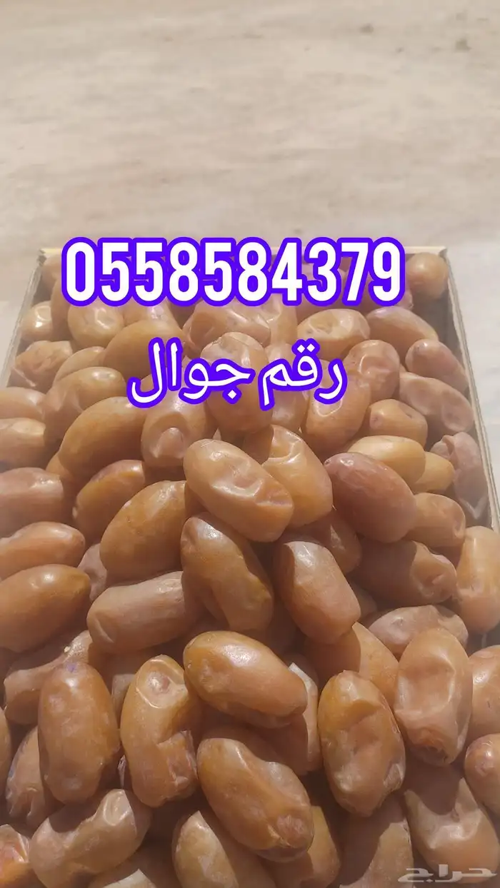 تمر خلاص فاخر للبيع 30 طن 0