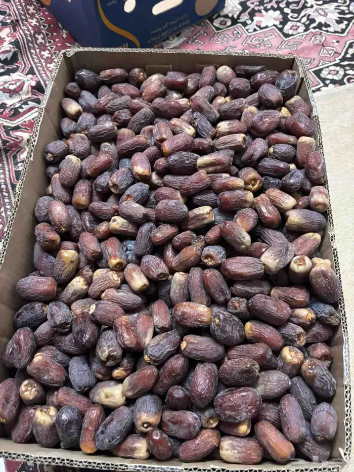 نعرض لكم مجدول 0