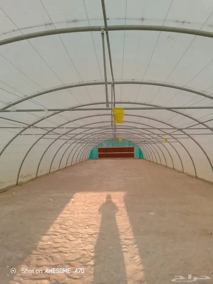 Green House بيت محمي 1
