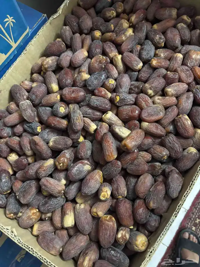 نعرض لكم مجدول 1
