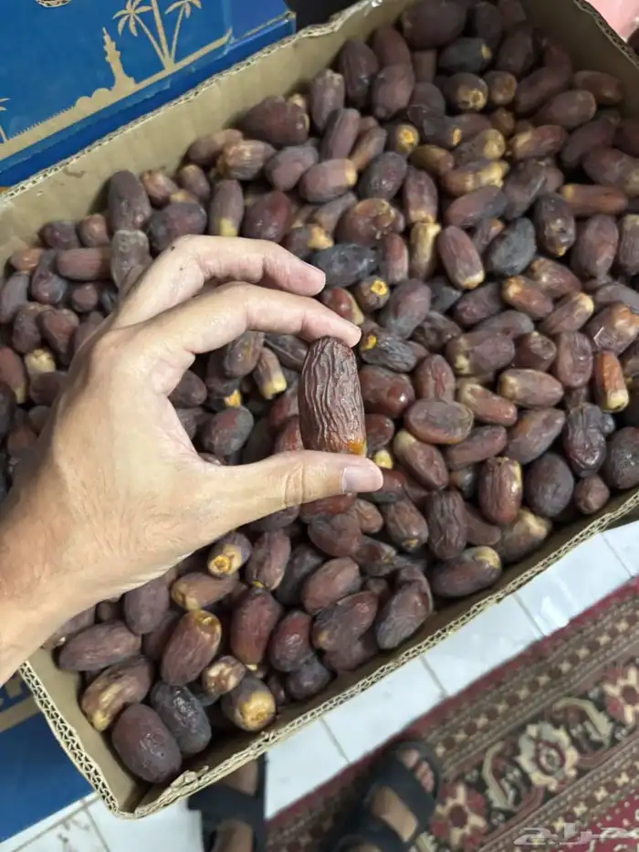 نعرض لكم مجدول 2