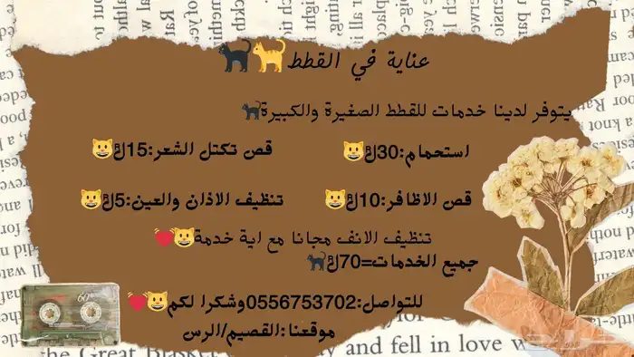 خدمات قطط 0