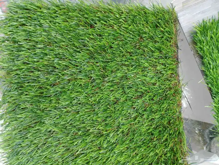 عشب صناعي ثيل صناعي 2