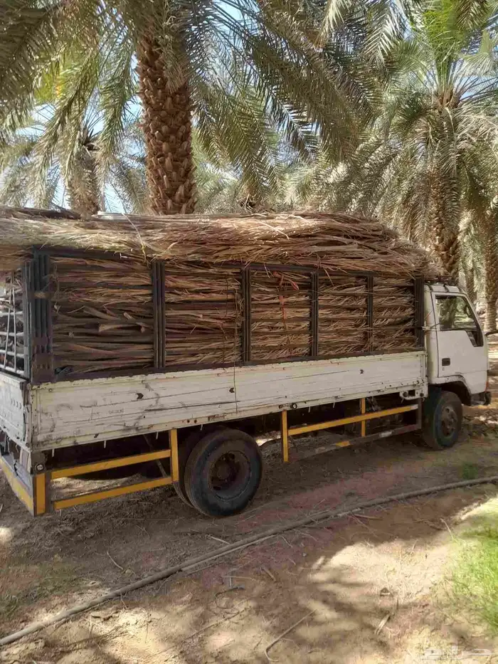 عريش نخيل جد 0