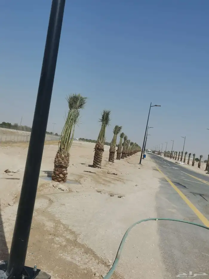 مقول نخل وشبوك مزارعه ومستودعات وبيوت التراث 4