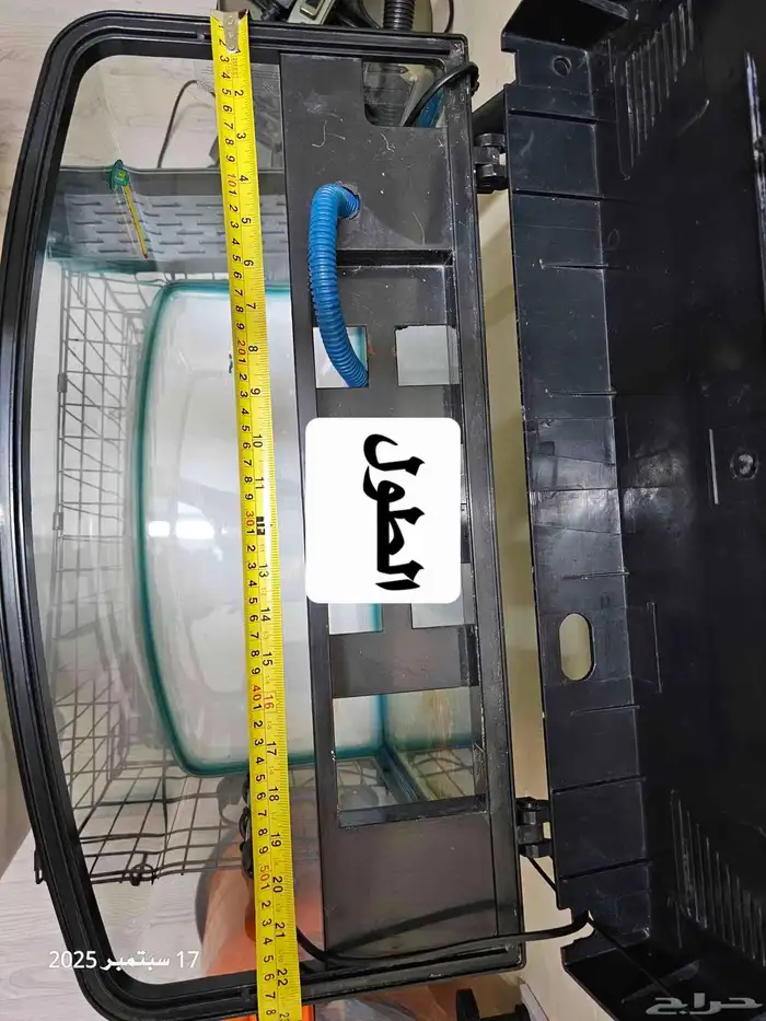 حوض سمك مع أسماك الفايتر ( تم البيع ) 7