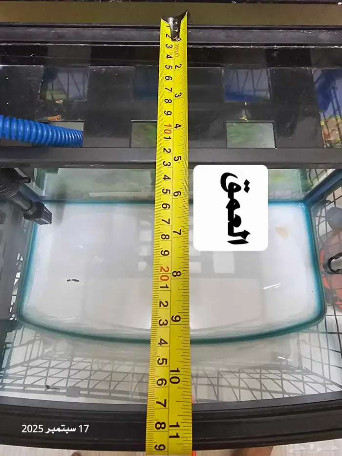 حوض سمك مع أسماك الفايتر ( تم البيع ) 8