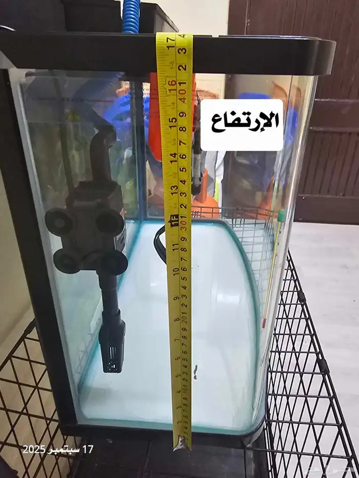 حوض سمك مع أسماك الفايتر ( تم البيع ) 9