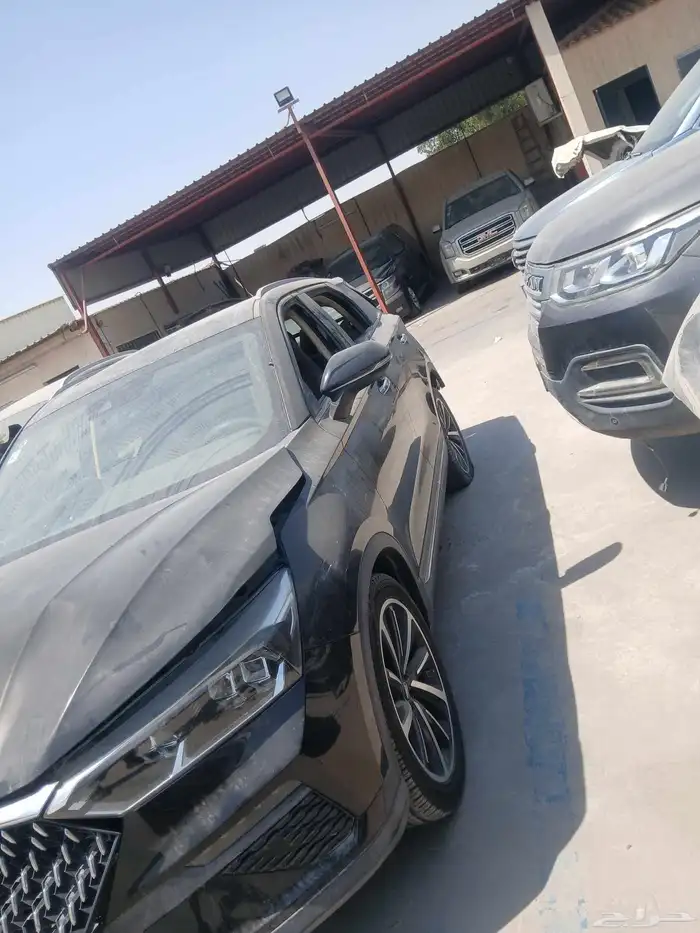 فاو 77 2020 2