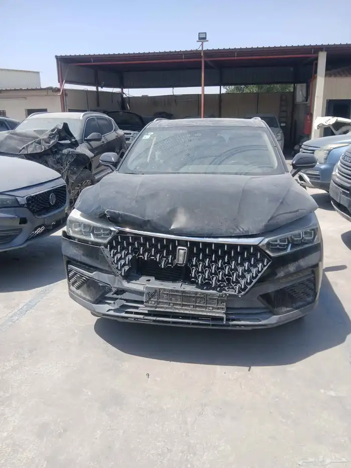 فاو 77 2020 0