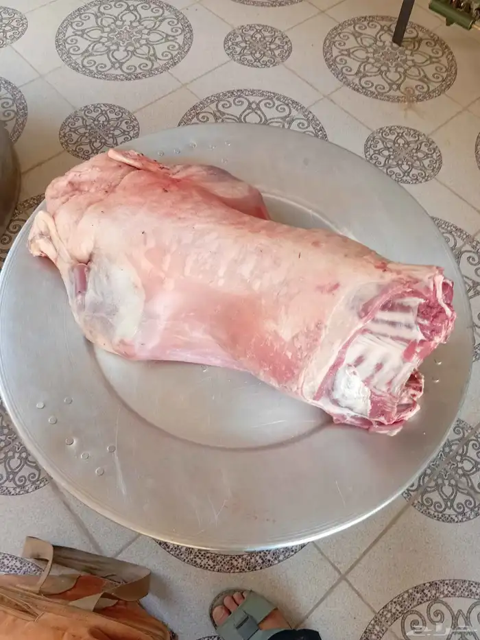 طباخ متنقل 3