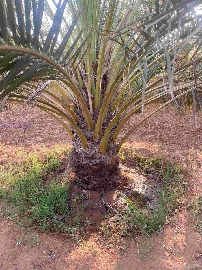 السلام عليكم ورحمه الله وبركاته نقوم بجميع مقاولات 3