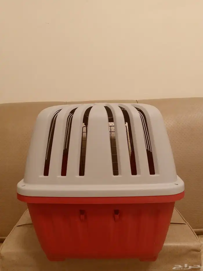 شبك قطط 1