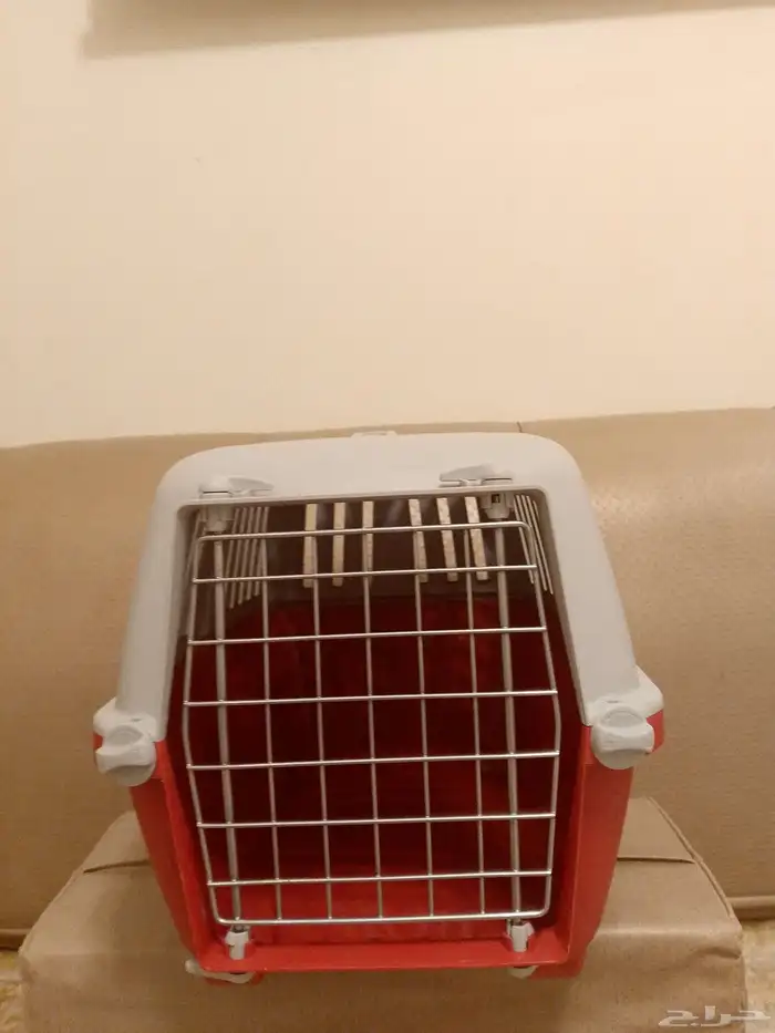شبك قطط 3