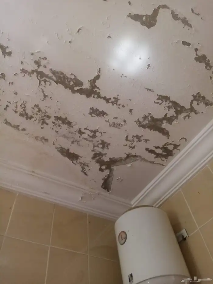 كشف تسربات تسريب المياه حمامات خزانات رطوبه أسطح 10