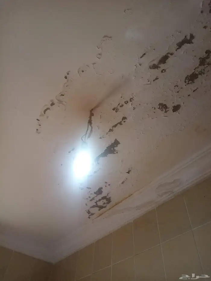كشف تسربات تسريب المياه حمامات خزانات رطوبه أسطح 11