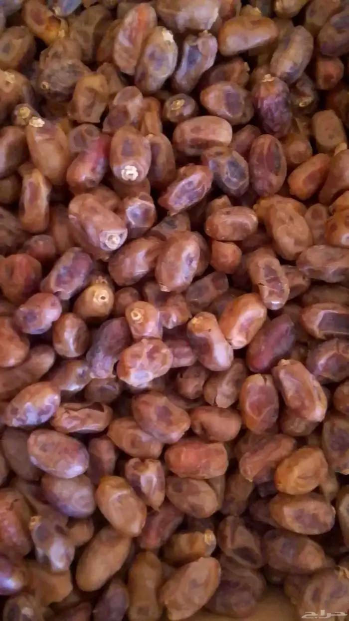 تمور كميه 0