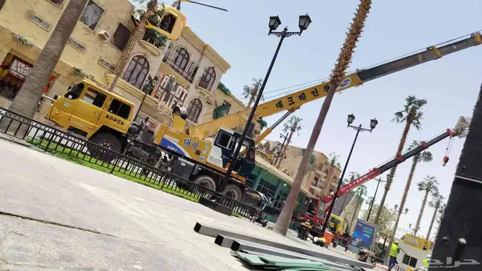 كرينات الإيجار 4