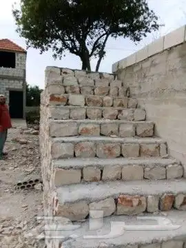 الطائف وما حولها 3