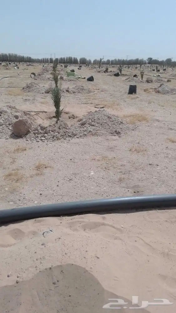مقاول شبوك ونخيل 5