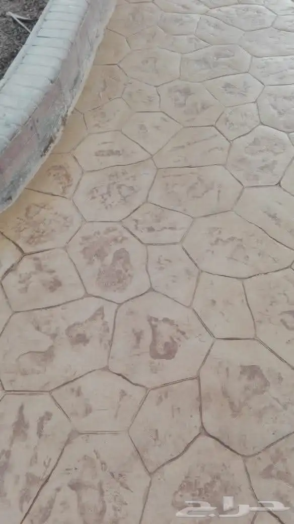 صبه المروحة الميزانية الخرسانة المطبوعة 3