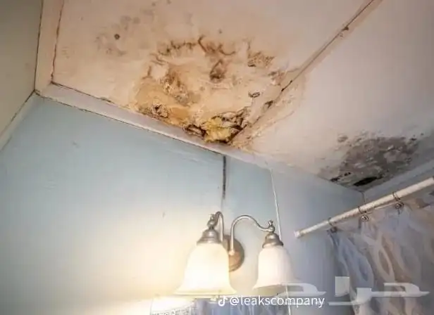 كشف تسربات تسريب المياه حمامات خزانات رطوبه أسطح 19