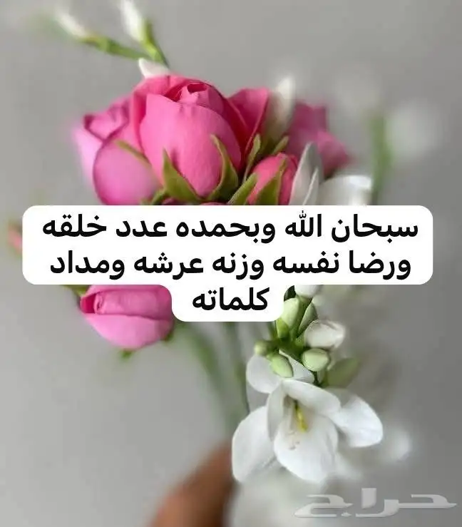 السلام عليكم ورحمة الله وبركاته اغراض للبيع في القصيم بريدة 9