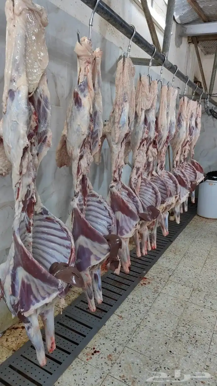 توصيل للمطابخ 6