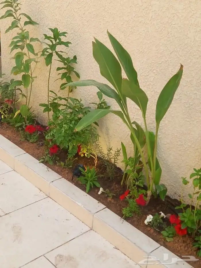 الزراعه والمظله والدكه والنافوره 7