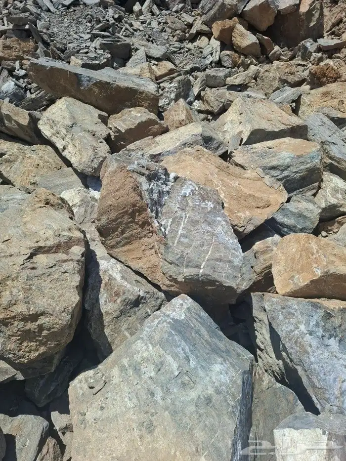 الباحه 2