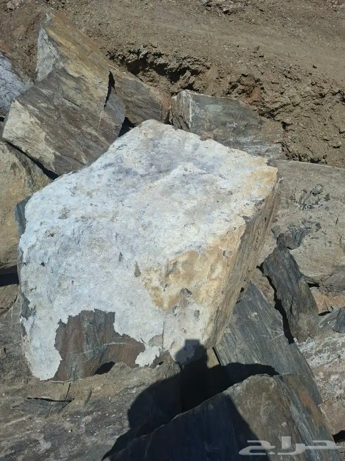 الباحه 0