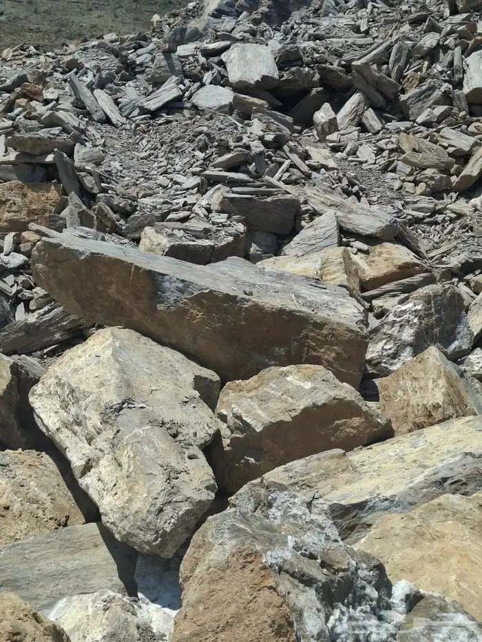 الباحه 5