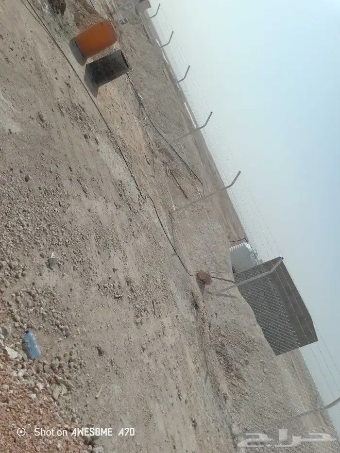مقاول شبوك ونخيل 3