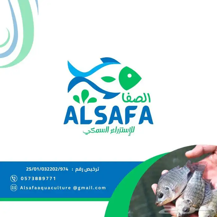 زريعة أسماك بلطي محسنة وممتازة 2