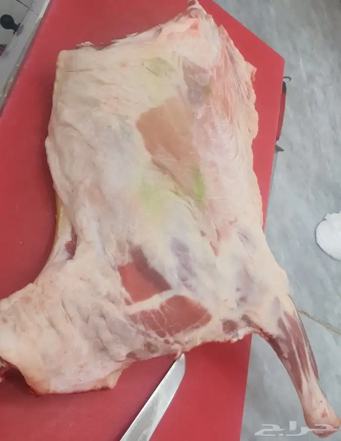 للبيع ربع ذبيحه 0