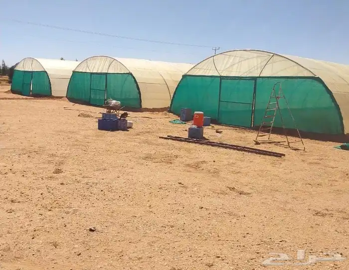 Green House بيت محمي 0