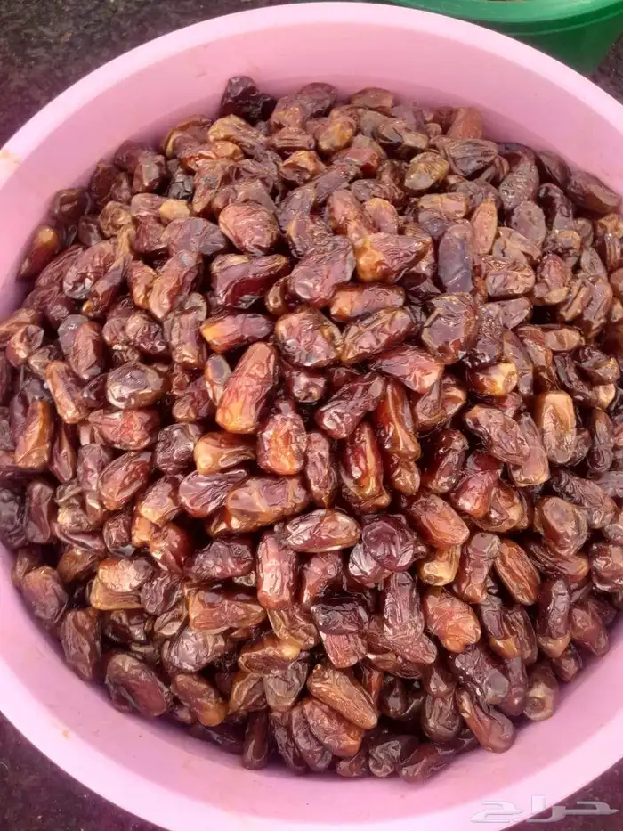 تمور حائل الفاخره 5