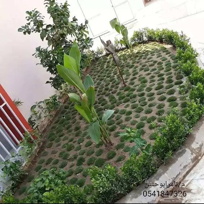 تنسيق حدائق جده ومكه 43
