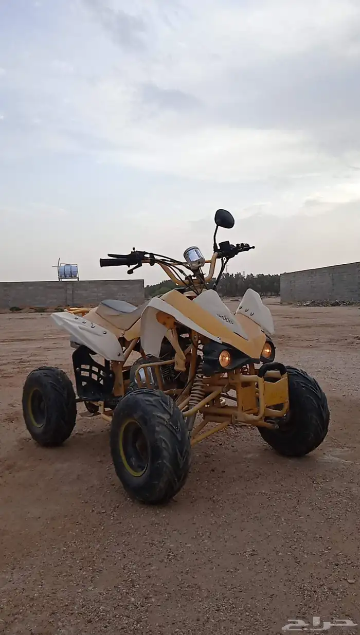 دباب صيني فراشه 0