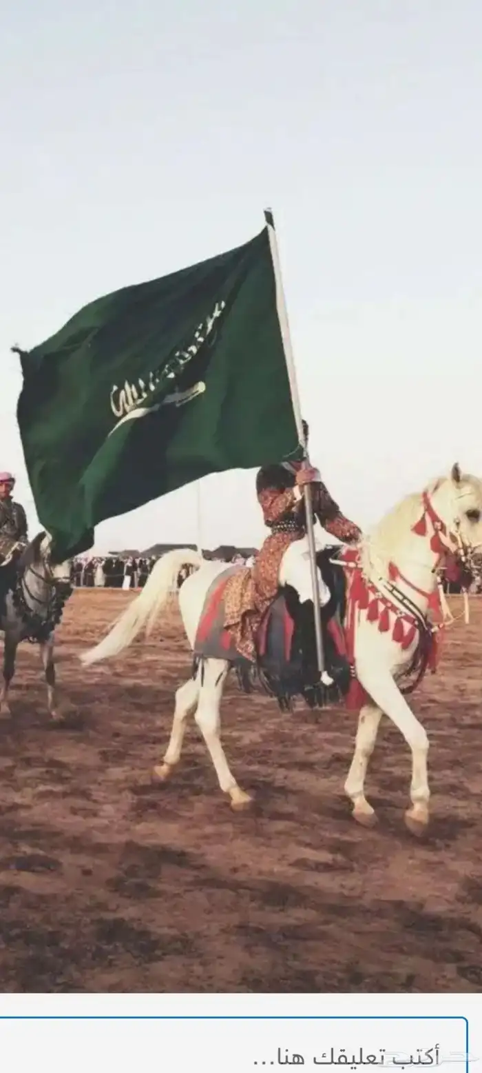 تأجير خيول اليوم الوطني 1