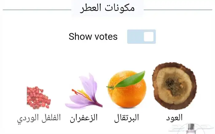 ديور بربل عود 250مل 4