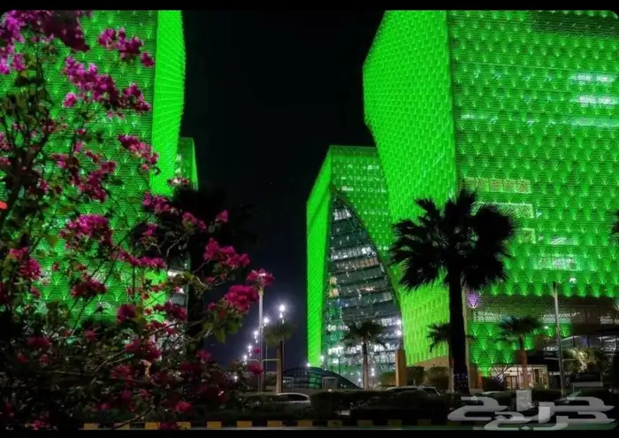 تركيب اضأة اليوم الوطني بارخص الاسعار 0