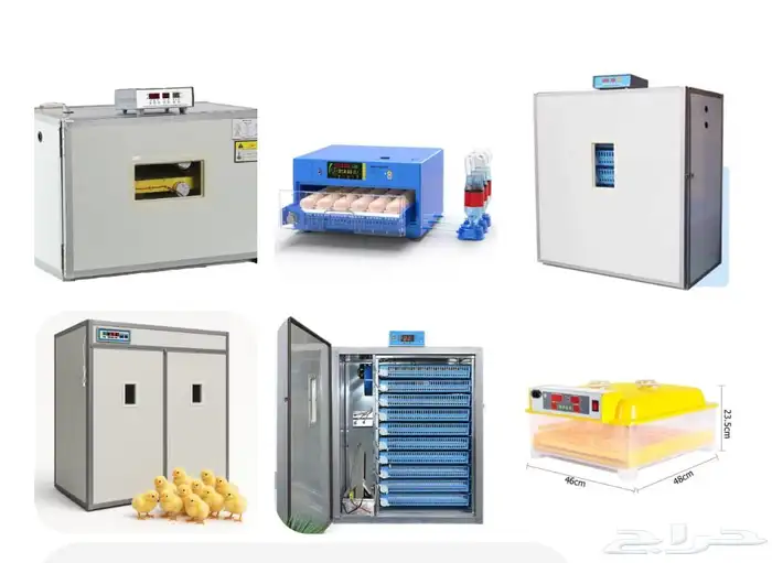 الحظيرة المميزة لمعدات الدواجن ومستلزمات الطيور 2