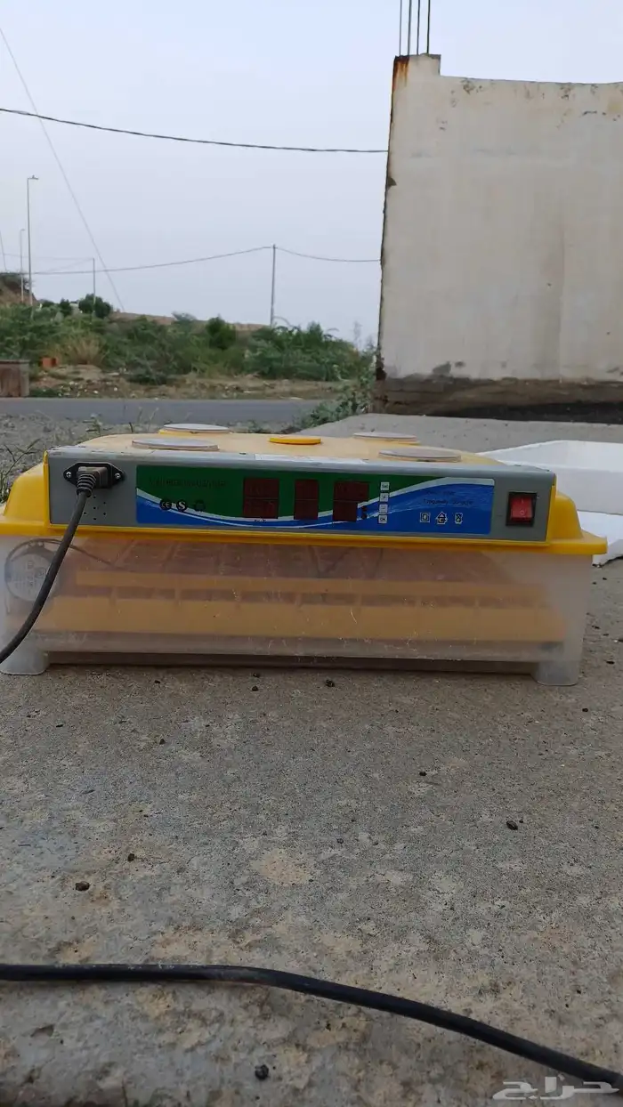 حاضنة بيض الدجاج على السوم 3