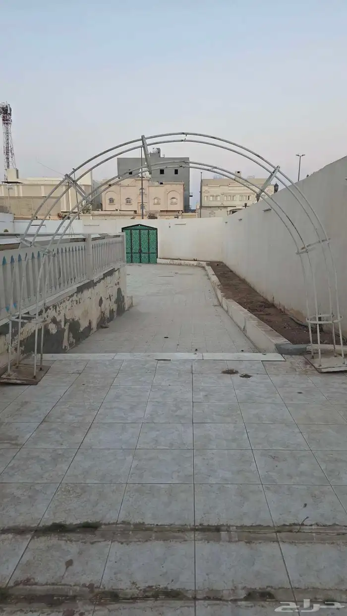 قاعدة أشجار 0