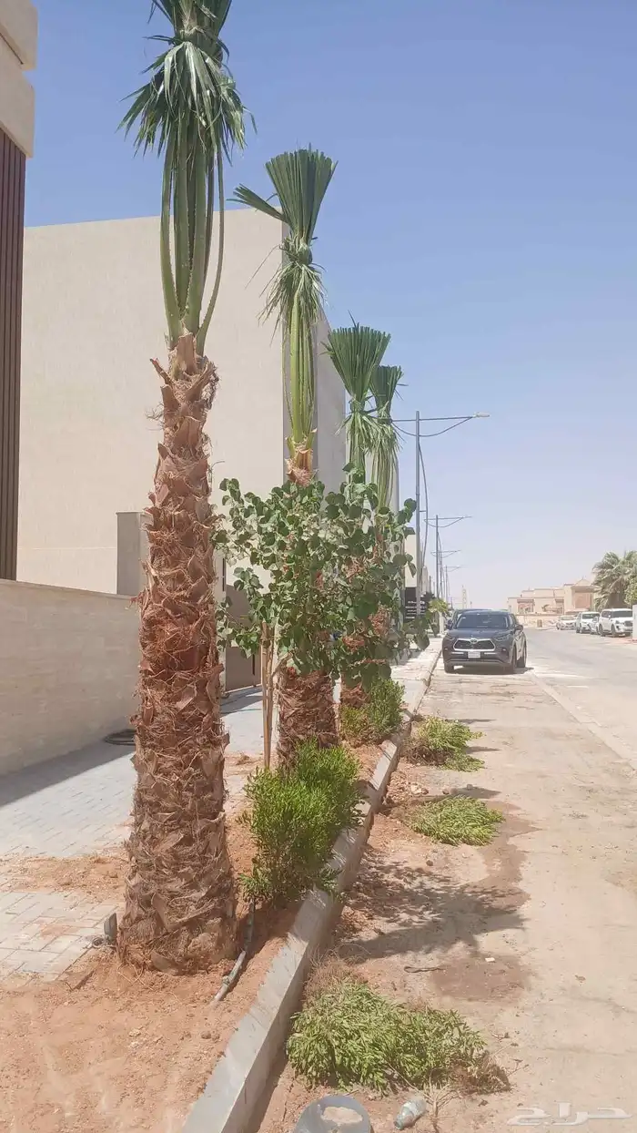 أعمال الشبوك 1
