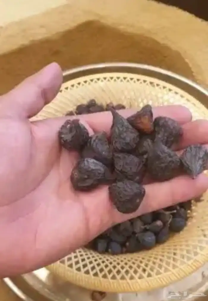 زبيب بلدي 0