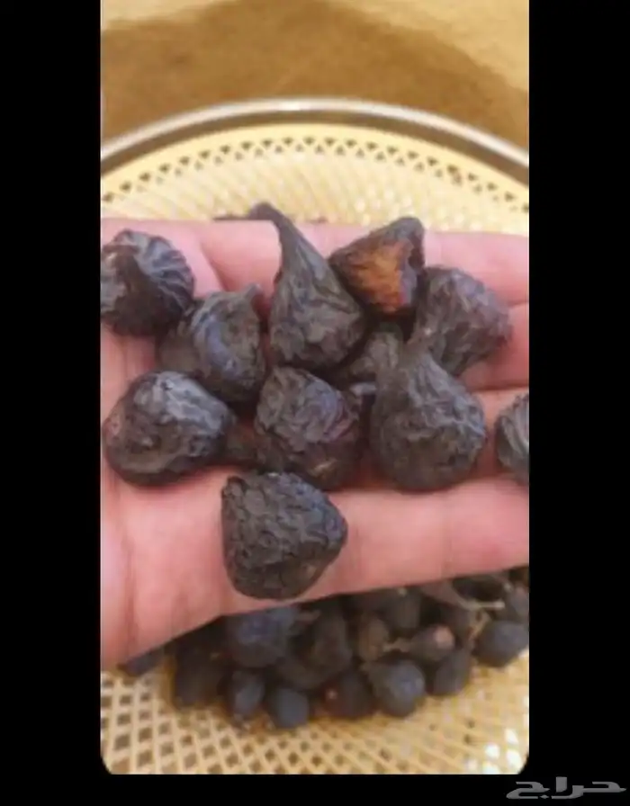 زبيب بلدي 1