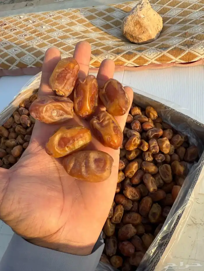 50 كرتون إخلاص اشقر للبيع في الرياض 8
