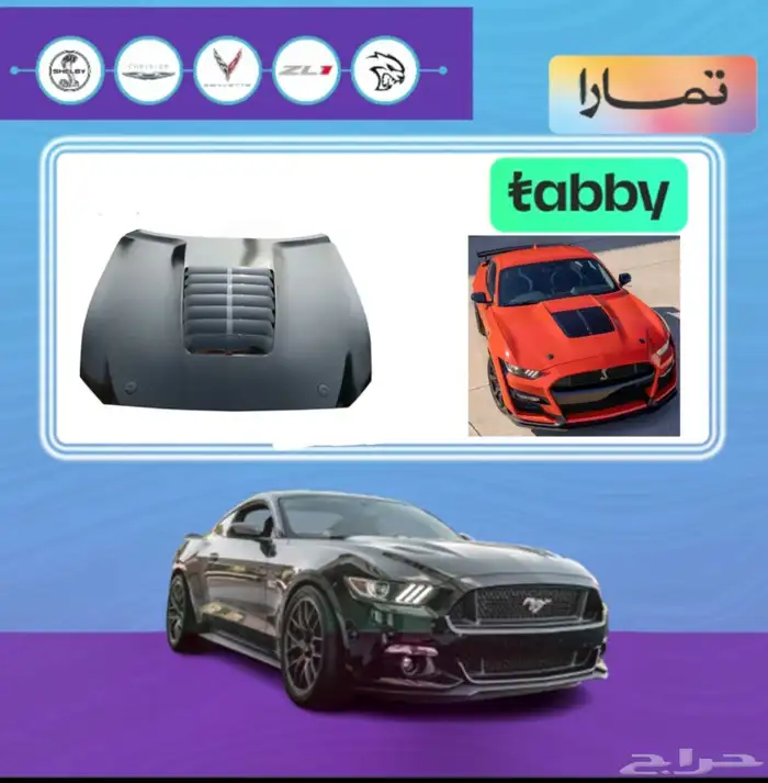 كبوت شلبي GT500 0
